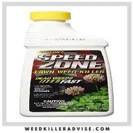 Gordon’s SpeedZone Lawn Weed Killer