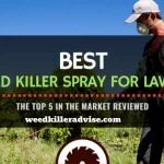 Best Weed Killer for Lawns (2023 Guide) Top Reviews for Lawn Weed Killer