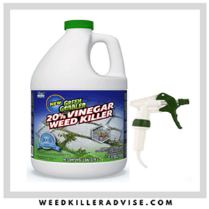 Best Strongest weed killer for Lawns