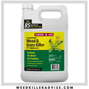 Compare and Save Grass Killer