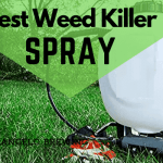Best Weed Killer Spray/ Sprayers (2021 Reviews) - Latest Picks