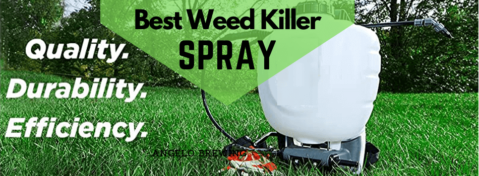 Best Weed Killer Spray/ Sprayers (2022 Reviews) - Latest Picks
