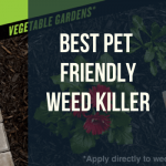 6 Best Pet Friendly Weed Killer 2021 Reviews-  Top Pet's Safe Herbicides
