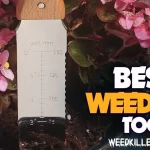 Best Weeding Tool in 2022 [Buying Guide] – Weed Killer Advise