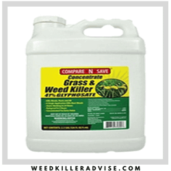 Best Weed Killers for Flower Beds 2022 – Buyer’s Guide & Reviews