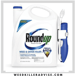 Roundup-weed-and-grass-killer