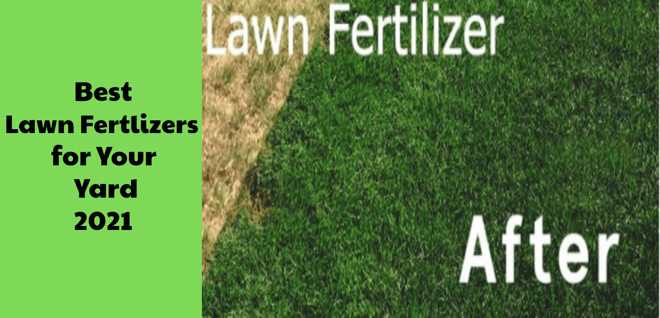 Best Lawn Fertilizer for Your Yard - 2022 Buyer's Guide & Reviews