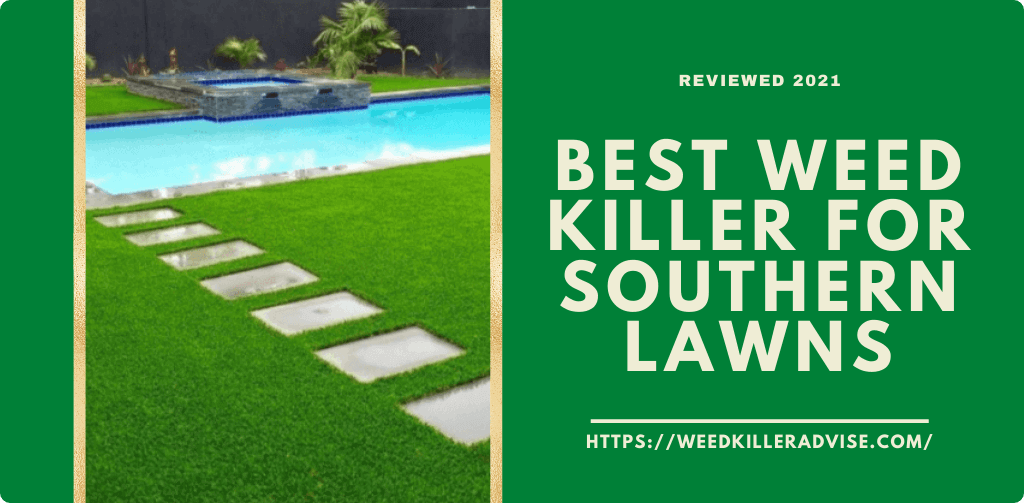 Best Weed Killer for Southern Lawns 2022 - Top Reviews & Comparisons