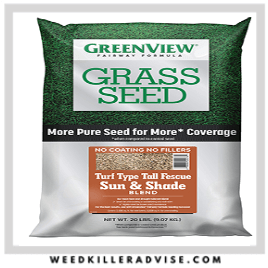 1: GreenView 2829348 Turf Type Tall Fescue – Best turf for dogs