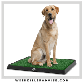 7 PETMAKER Artificial Grass – Best pet safe grass seed