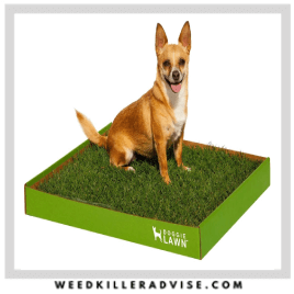  DoggieLawn Real Grass Dog Potty (Disposable)