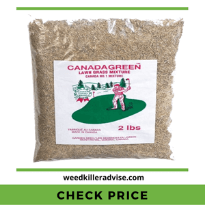 Canada Green Grass Seed – Resist Bugs and Weeds