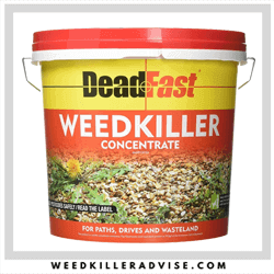 Deadfast Concentrate Weed Killer