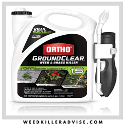  Ortho GroundClear Weed & Grass Killer