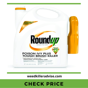 Roundup Poison Ivy Killer – Toughest Brushes and Weed Killer