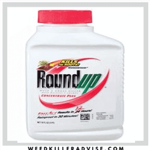 Roundup Concentrate Plus