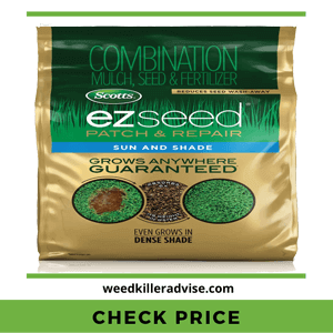Scotts EZ Grass Seed – Best Grass Seed for Shade in Alabama 2022