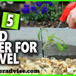 Top 5 Best Weed Killer for Gravel