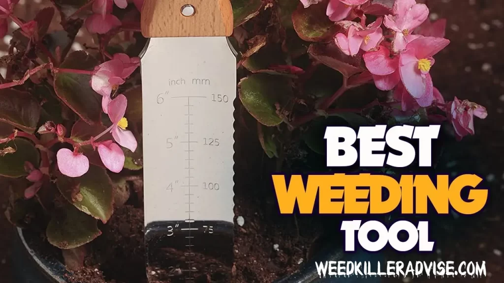 Best Weeding Tool in 2022 [Buying Guide] – Weed Killer Advise