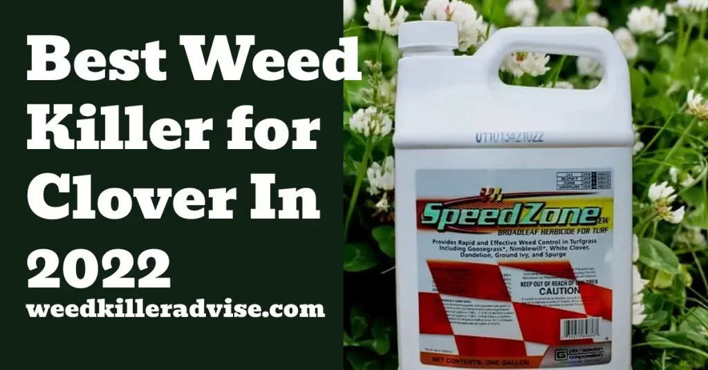 Best Weed Killer for Clover in 2022 [Latest Picks] – Weed Killer Advise