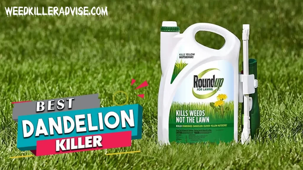 Best Dandelion Killers for a Stunning Lawn (2023): Top-Rated Picks