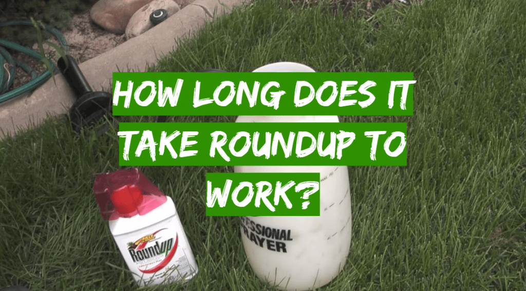 How Long Does It Take For Roundup To Work?