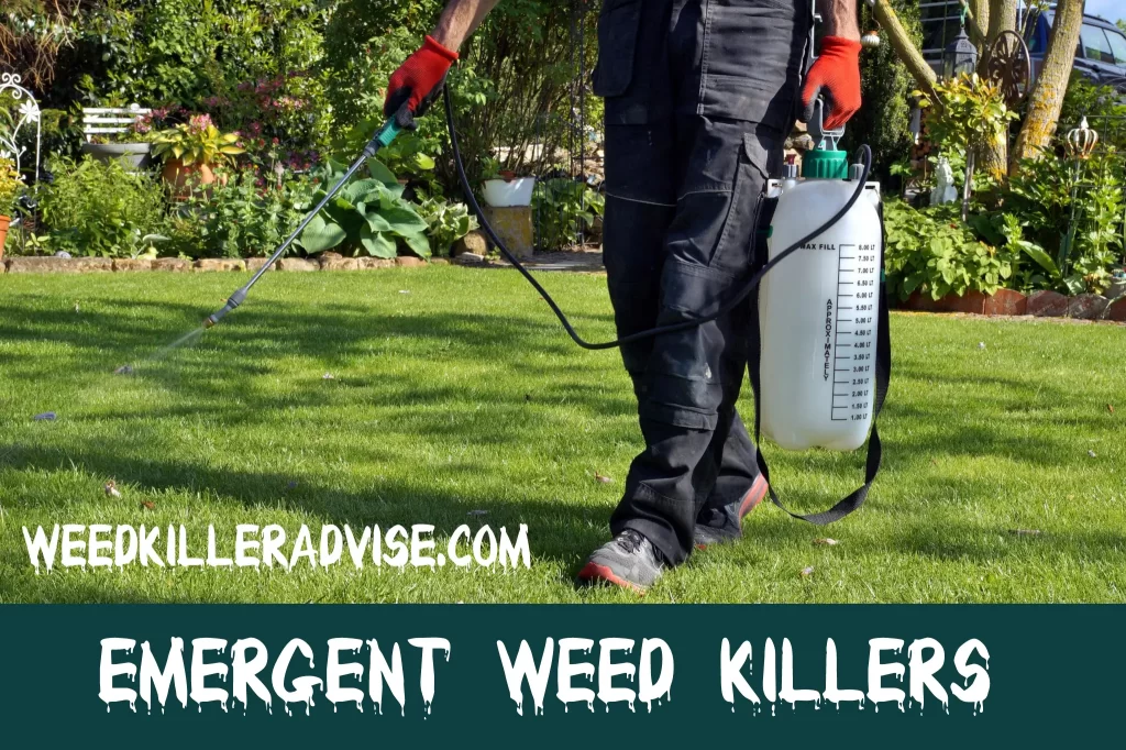 Emergent Weed Killers