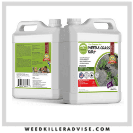 5 - ECO Garden PRO - Organic Vinegar Weed Killer  Kid and Pet Safe