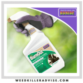 8 - Bonide Burn Out Weed and Grass Killer