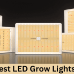 Best LED Grow Lights FEATURE iMAGE