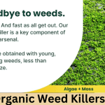 Organic Weed killer - NAtural herbicides - feature Image